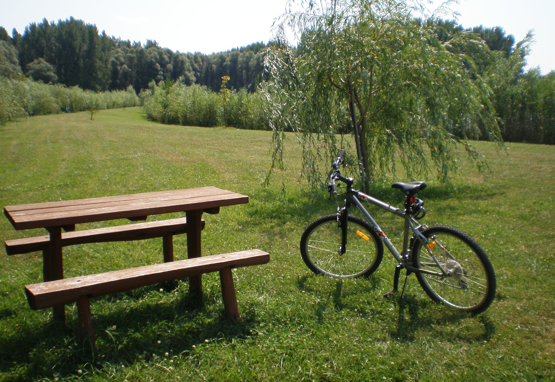 Discover the Szigetközi floodplain while cycling! Discover the Szigetközi floodplain while cycling!