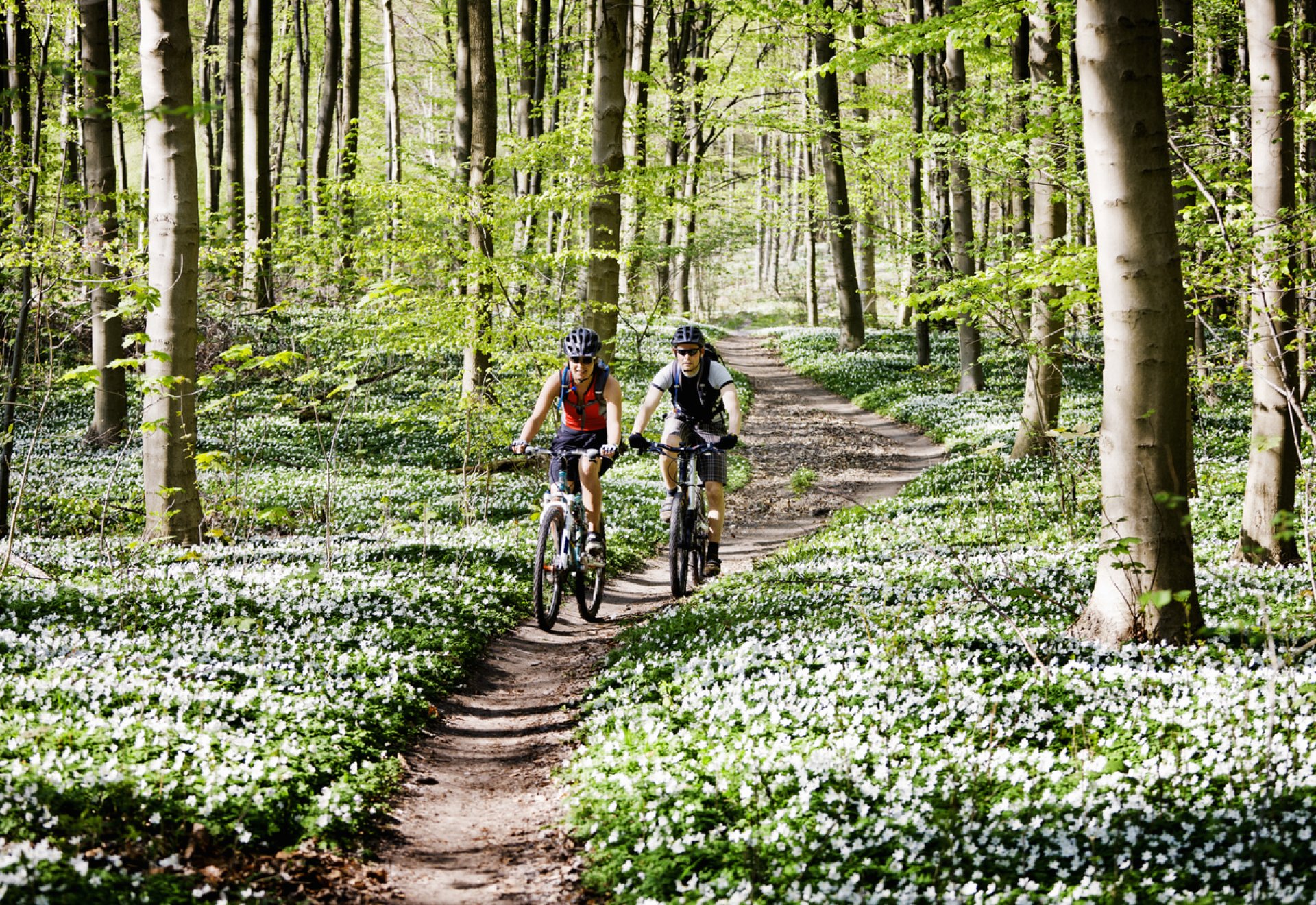 Cycling routes in Szigetköz Cycling routes in Szigetköz